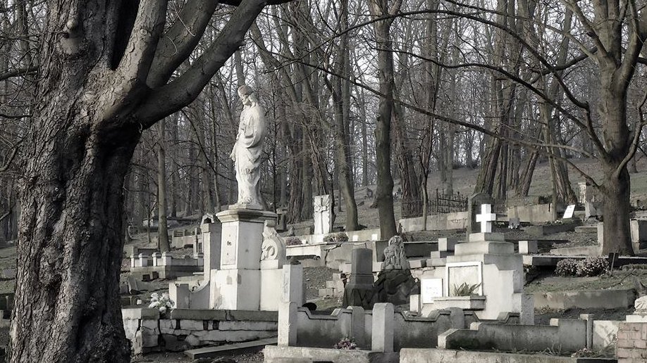 Fot. materiały organizatorów