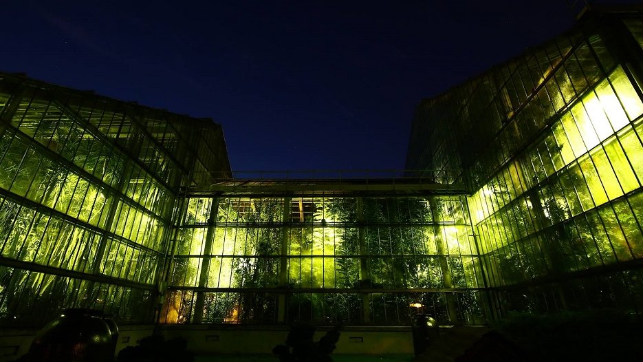 Fot. Palmiarnia Poznańska