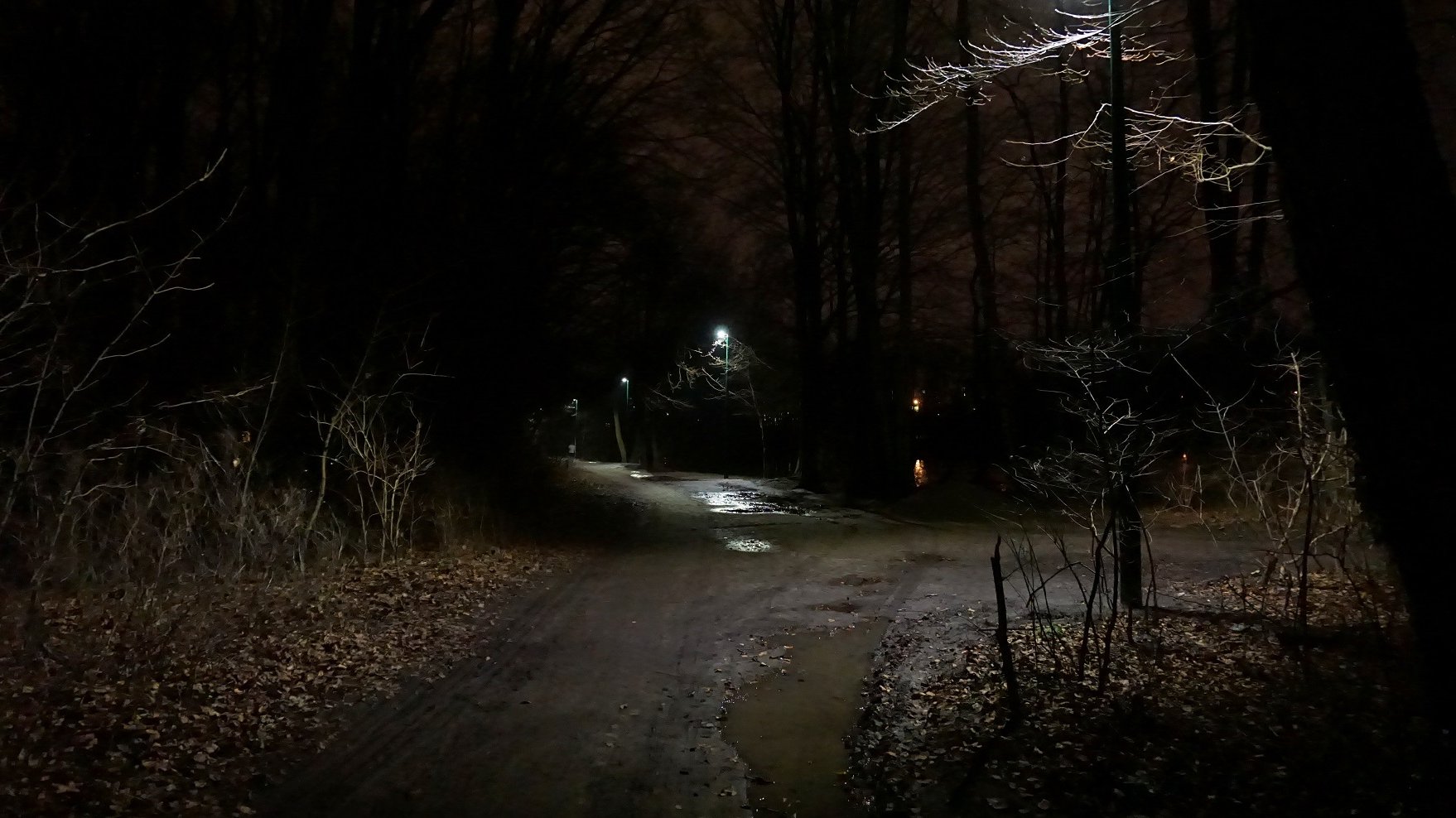 fot. Poznan.pl