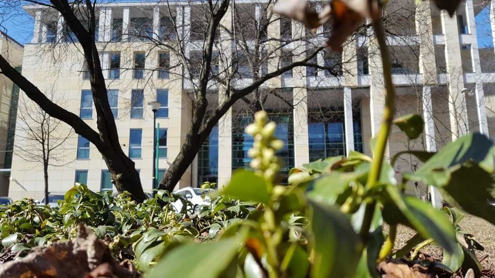 Fot. Uniwersytet Ekonomiczny w Poznaniu