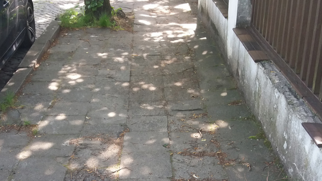 fot. ZDM Poznań