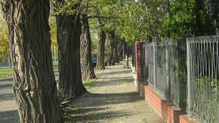 fot. ZDM Poznań