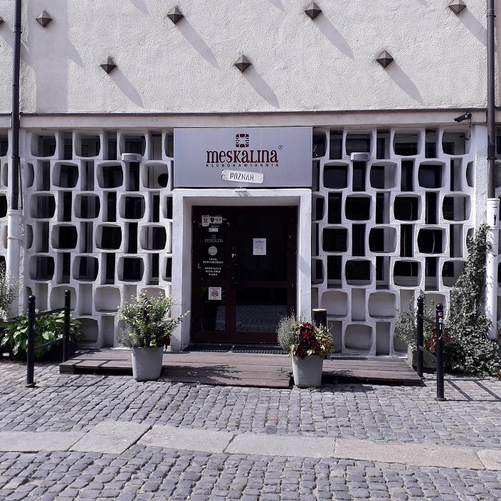 NGO-sy debatują