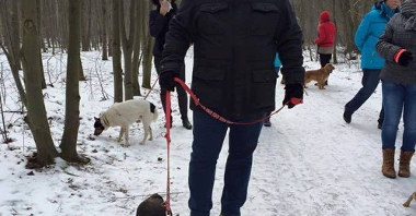 Na spacerze z psem ze schroniska przewodniczący RO Ławica Andrzej Białas (który jest także dyrektorem Gabinetu Prezydenta Poznania)