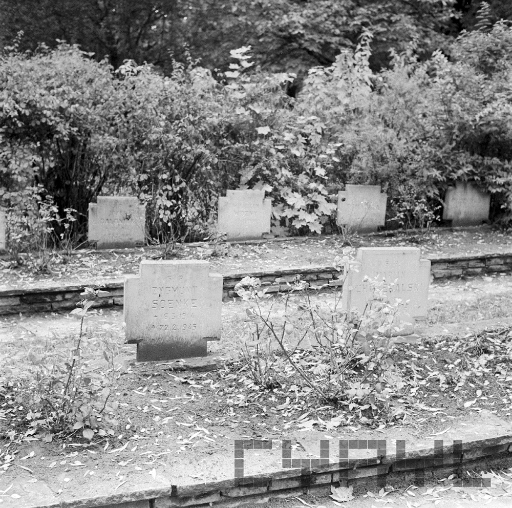 Groby poległych Cytadelowców na cmentarzu na Cytadeli, fot. S. Wiktor / cyryl.poznan.pl - grafika artykułu