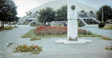 Kwiaty w parku Kasprowicza, przełom lat 70. i 80. XX wieku, fot. Zbigniew Haber