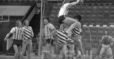 Mecz piłki ręcznej Grunwald Poznań - Gwardia Opole w Hali Widowiskowo-Sportowej Arena, 1978 r., fot. Stanisław Wiktor / cyryl.poznan.pl