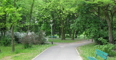Park im. A. Wodziczki (fot. C. Omieljańczyk)