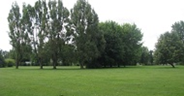 Fragment parku im. Jana Pawła II