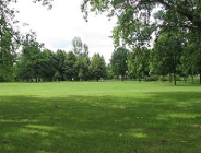 100 drzew na 100-lecie