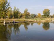 15 chętnych na kładkę