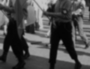 Antropologia przeciw dyskryminacji