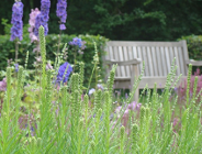 Będą nowe regulaminy parkowe