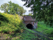 Będzie konkurs na operatora DTP