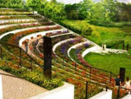 Będzie miodowo na Cytadeli