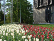 Biało-czerwone kwiaty dla Niepodległej