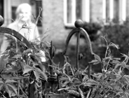 Bohater mojego fyrtla