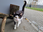 Budżet dla środowiska