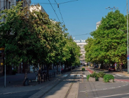 Chronić drzewa w mieście - LXX sesja RMP