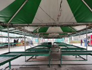 Co dalej z targowiskami?