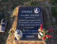 Co z cmentarzem dla zwierząt?