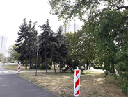 Co z drzewami na rondzie Rataje