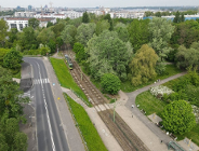 Co z drzewami przy trasie kórnickiej?