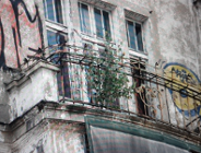 Co z kamienicą "Zielona Perła" na Łazarzu?