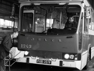 Czerwony autobus