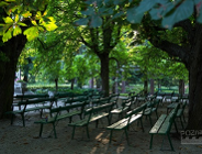 Czy Ogród Botaniczny dostanie pieniądze od miasta?