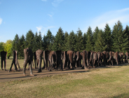 Czy parki odpoczną od imprez masowych?