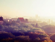 Dla wszystkich i w każdej strefie?