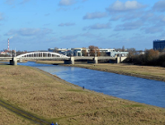 Dlaczego nie można sadzić drzew wzdłuż Warty