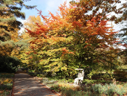 Dofinansowanie dla ogrodów