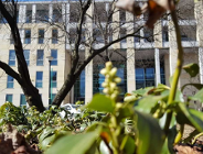 Dokąd zaprowadzi nas sztuczna inteligencja?