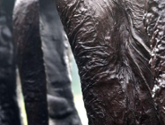 Dołącz do zespołu Kulturypoznan.pl!