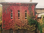 Dominikańscy patroni sal