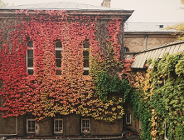 Dominikańskie wsparcie