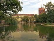 Drzewa w parku Marcinkowskiego