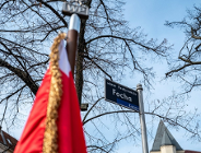 Drzewo dla marszałka Focha