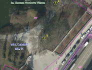 Dwa nowe pomniki przyrody