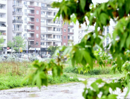 Działania w sprawie parku na Łacinie