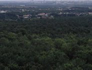 Dziewicza Góra i nie tylko