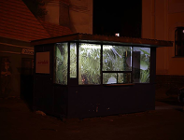 Dżungla w kiosku na Śródce