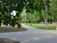 Fajfy w parku Rataje