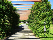 Fontanna na Zielonych Ogródkach