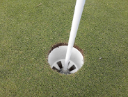 Gdzie powinno powstać pole golfowe?