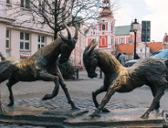 Gdzie powinny stać koziołki?