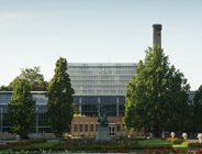 Historia Palmiarni w... Palmiarni