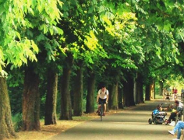 Ile światła w parku?